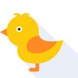 el pollito - chick