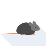 la rata - rat