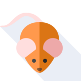 el ratón - mouse