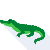 el cocodrilo - crocodile