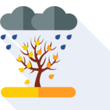 el otoño - autumn