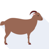 la cabra - goat