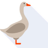 el ganso - goose