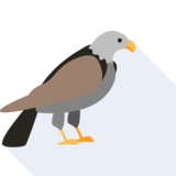 el águila - eagle