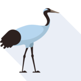 la grulla - crane