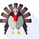 el pavo - turkey