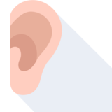la oreja - ear