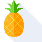 l'ananas - die Ananas