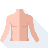 la poitrine - chest