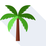 le palmier - palm