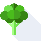 le brocoli - broccoli