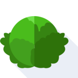 le chou - cabbage