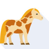 le poney - pony