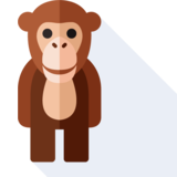 le chimpanzé - el chimpancé