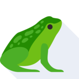 la grenouille - la rana