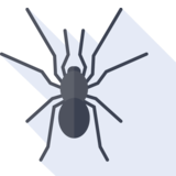 l'araignée - spider