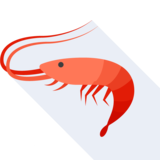 la crevette rose - shrimp