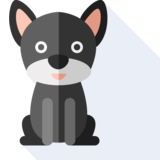 le chiot - puppy