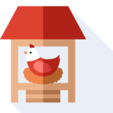 le poulailler - hen house