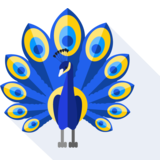 le paon - el pavo real