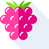 il lampone - raspberry