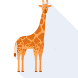 la giraffa - giraffa