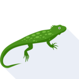 l'iguana - iguana