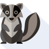 la puzzola - skunk