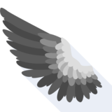 l'ala - крыло