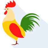 il gallo - cock