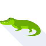 l'alligatore - l'alligator