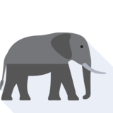 l'elefante - l'éléphant