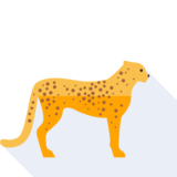 il leopardo - le léopard