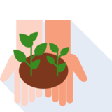 piantare - to plant